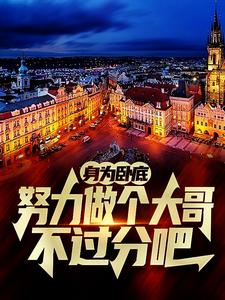 身为卧底，努力做个大哥不过分吧完整版小说身为卧底，努力做个大哥不过分吧(白舟)全章小说阅读