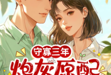 (全文)守寡三年，炮灰原配带崽去离婚热门小说排行榜，守寡三年，炮灰原配带崽去离婚苏月全章小说阅读-阳光书屋