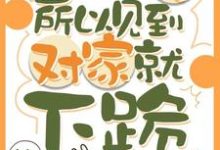 因为太怂所以见到对家就下跪完整版小说因为太怂所以见到对家就下跪(叶暮)全章小说阅读-阳光书屋