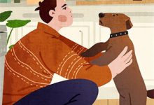 《新雪悄覆旧年痕》全集免费在线阅读（顾汝棠苏晚橙）-阳光书屋